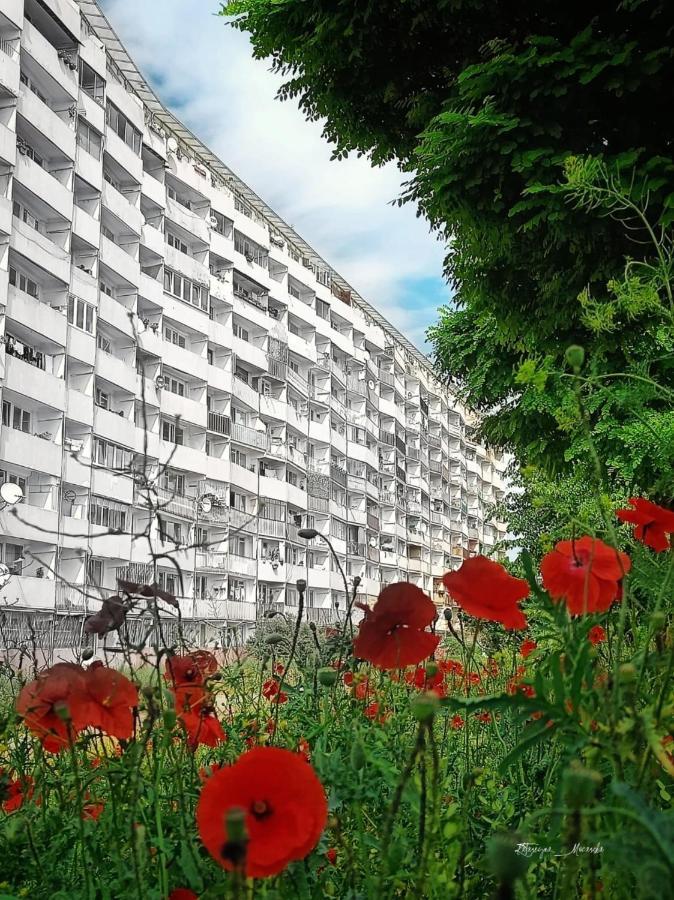 グダニスクApartament Wiewiorkaアパートメント エクステリア 写真